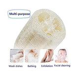 Natural Exfoliating Loofah Sponge